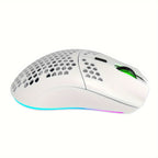 Souris de jeu sans fil RGB HXSJ - Rechargeable
